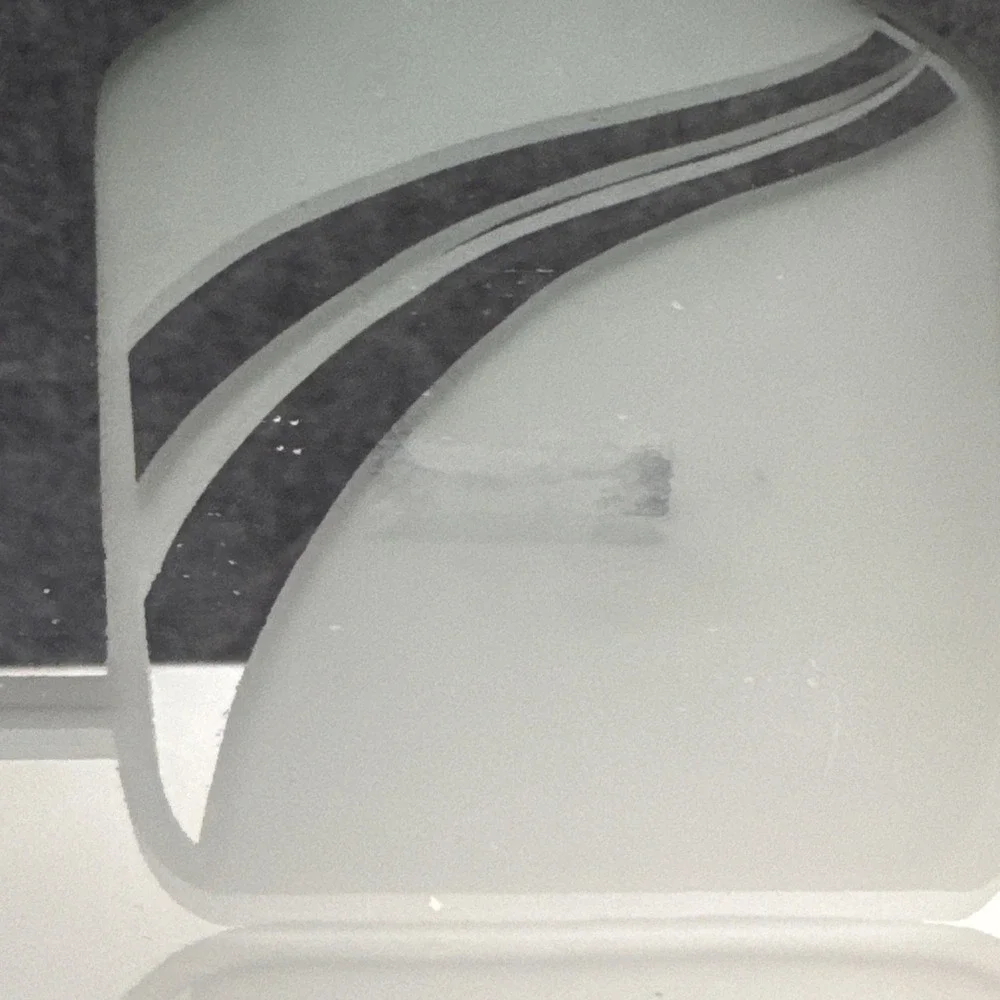 Frosted Mirror Wooden Frame Flowers Vase Art Deco Revival Rectangle